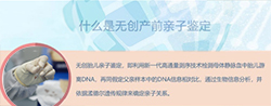 湖南省产前亲子鉴定收费多少【预约咨询】